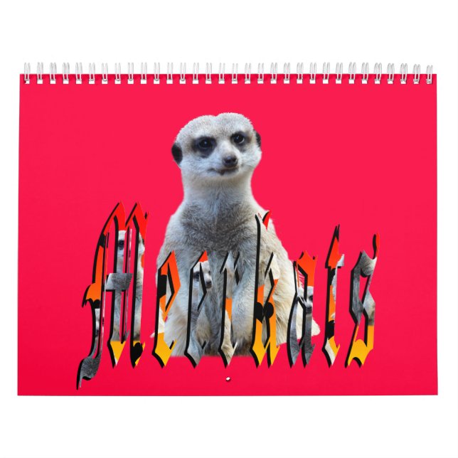 Meerkat With Stil USA Helgdagars 2019 Kalender (Omslag)