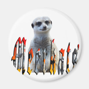 Meerkatc och Meerkats Bild Logotyp Magnet