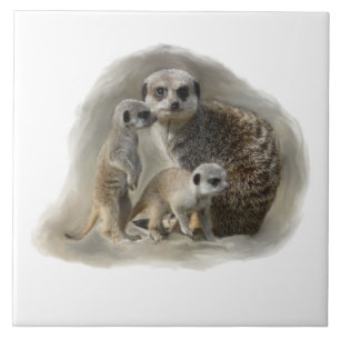 meerkatfamilj kakelplatta