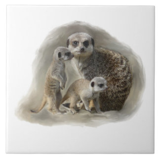 meerkatfamilj kakelplatta