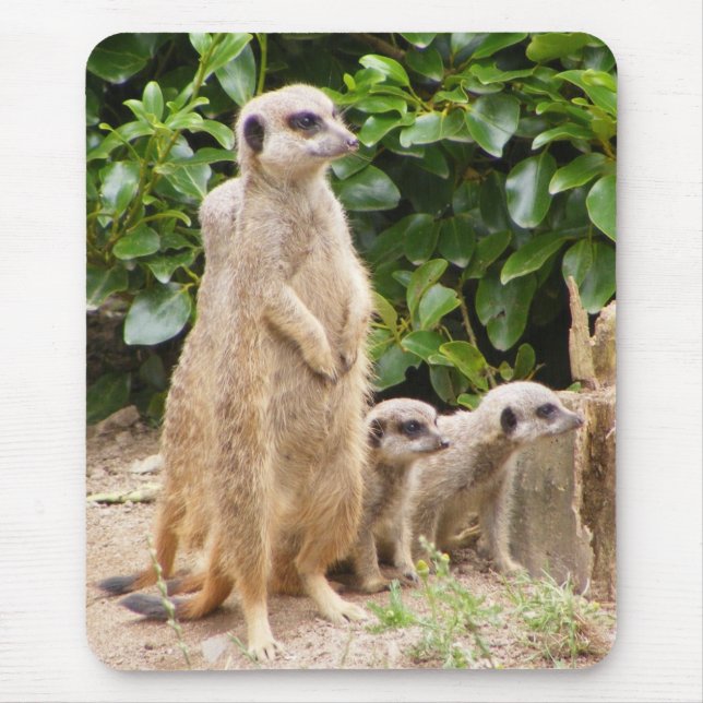 meerkatmousepad musmatta (Framsidan)