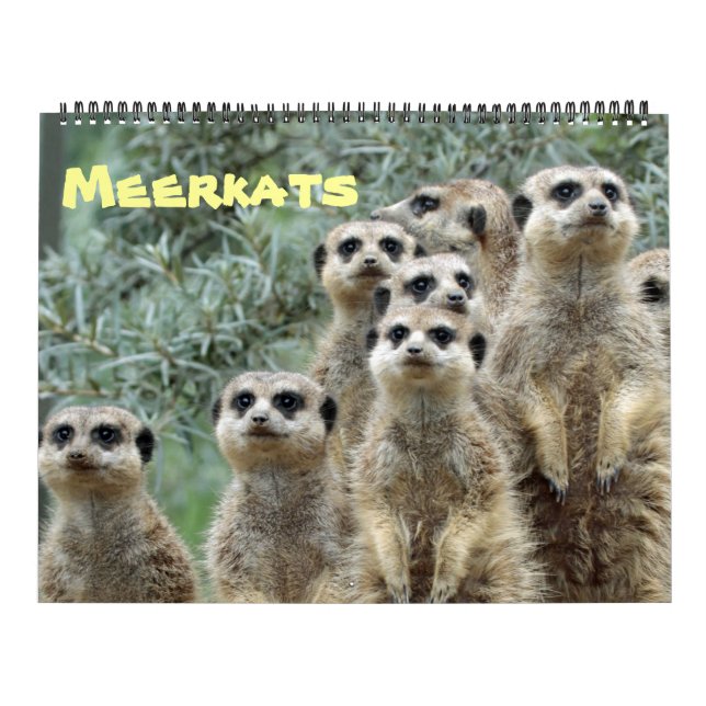 Meerkats 001 kalender (Omslag)