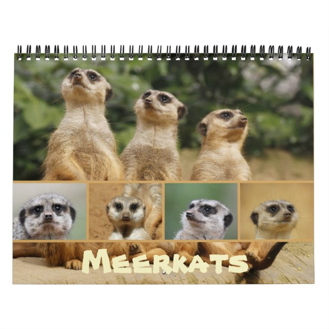 Meerkats 002 kalender (Omslag)