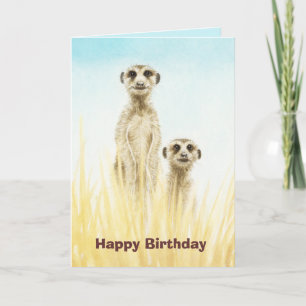 Meerkats Birthday Card Kort