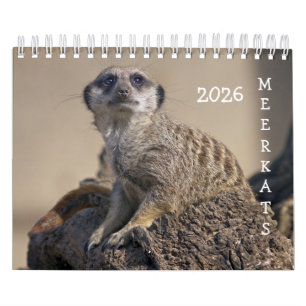 Meerkats Calendar Kalender