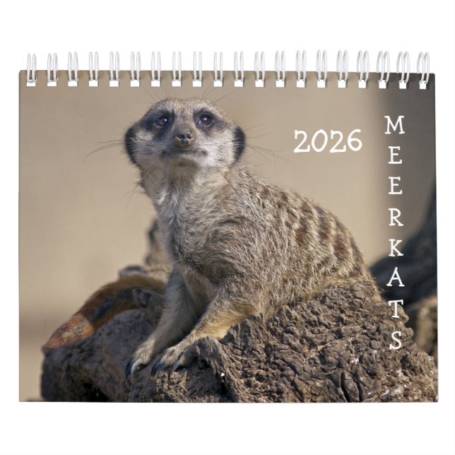 Meerkats Calendar Kalender (Omslag)