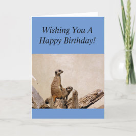 Meerkats Grattis på födelsedagen Hälsning! Kort