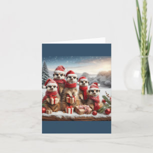 Meerkats in christmas hats tack kort