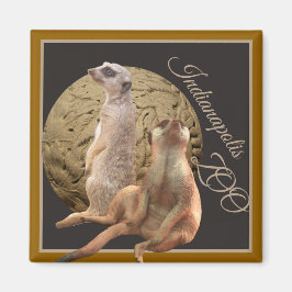 Meerkats Indianapolis Zoo Magnet
