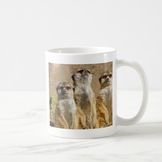 Meerkats Kaffemugg (Höger)