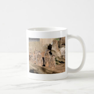 Meerkats Kaffemugg
