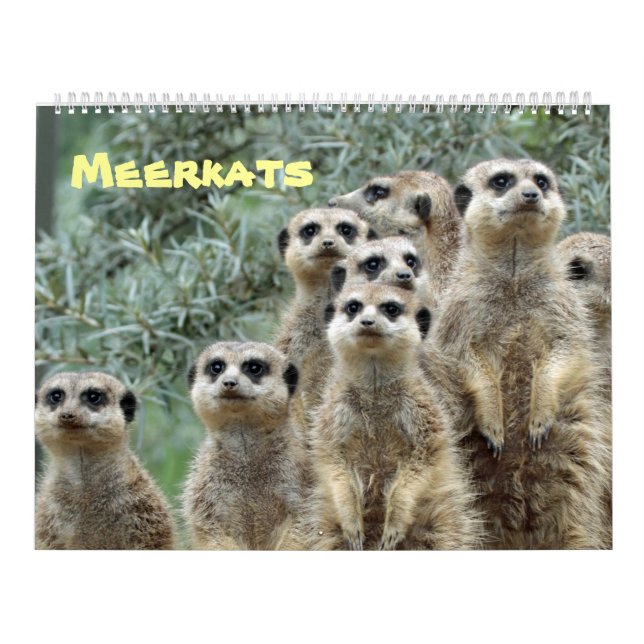 Meerkats Kalender (Omslag)