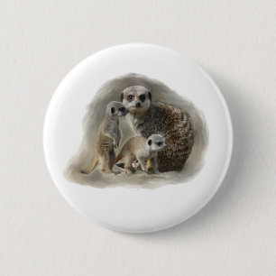 meerkats knapp