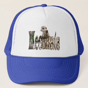 Meerkats Logotyp med Meerkats Keps
