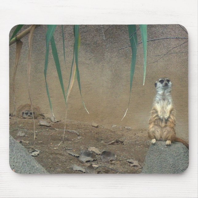Meerkats Musmatta (Framsidan)