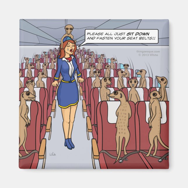 Meerkats on a Flygplan Magnet (Framsidan)