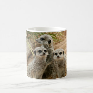 Meerkats på utkiken kaffemugg