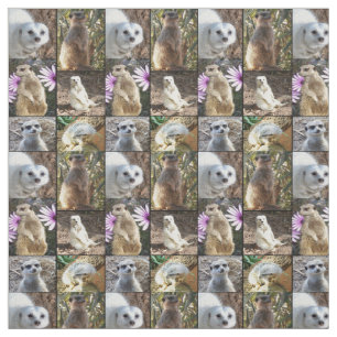 Meerkats Photo Collating Combed Cotton Material Tyg