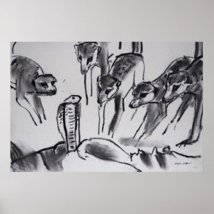 Meerkats som mobbar kobran - konsttryck poster