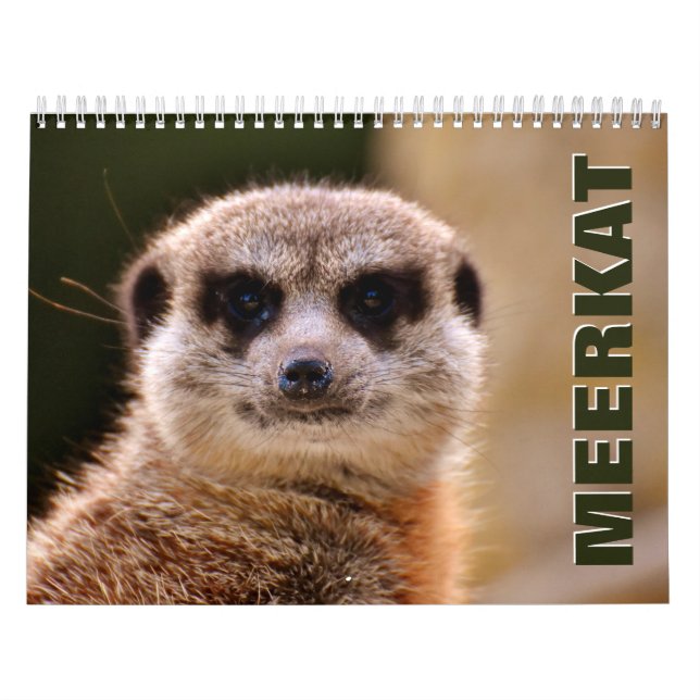 Meerkats Wall Calendar Kalender (Omslag)