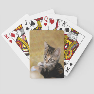 Meettiger Spel Kort
