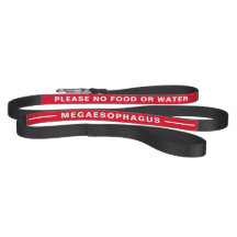 Megaesofagus-utslag