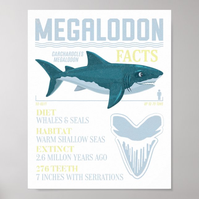 Megalodon Facts Meg Prehistork Shark Tooth Fossil Poster (Framsidan)
