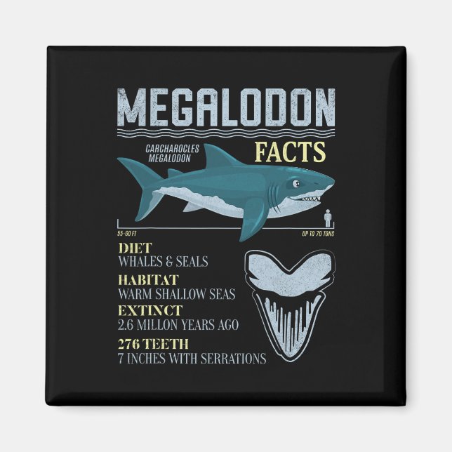 Megalodon Fakta Meg Forntida Haj Tannfossil Magnet (Framsidan)