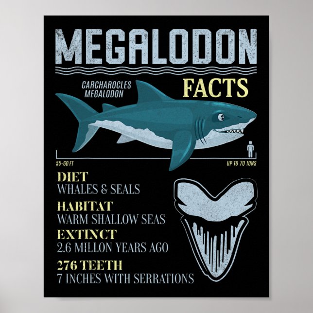 Megalodon Fakta Meg Forntida Haj Tannfossil Poster (Framsidan)