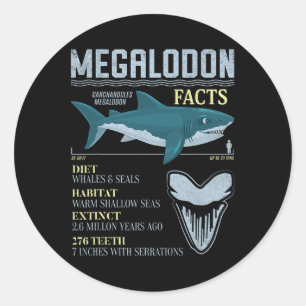 Megalodon Fakta Meg Forntida Haj Tannfossil Runt Klistermärke