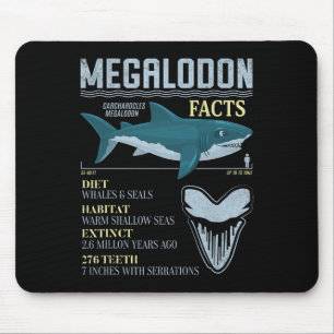 Megalodon Fakta Meg Prehistorisk Haj Tand Fossil Musmatta