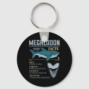 Megalodon Fakta Meg Prehistorisk Haj Tand Fossil Nyckelring