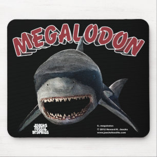 Megalodon haj musmatta