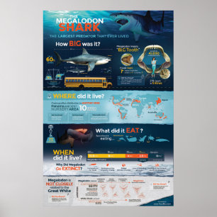 Megalodon haj - rovdjur! 24x36 ", poster