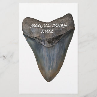 Megalodon hajtand brevpapper