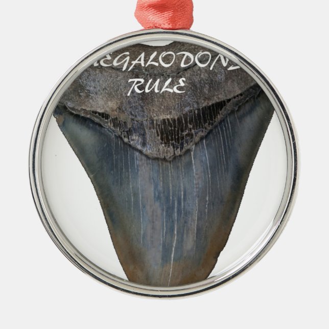 Megalodon hajtand julgransprydnad metall (Framsidan)