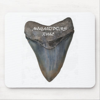 Megalodon hajtand musmatta