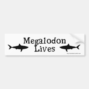 Megalodon liv! Bildekal