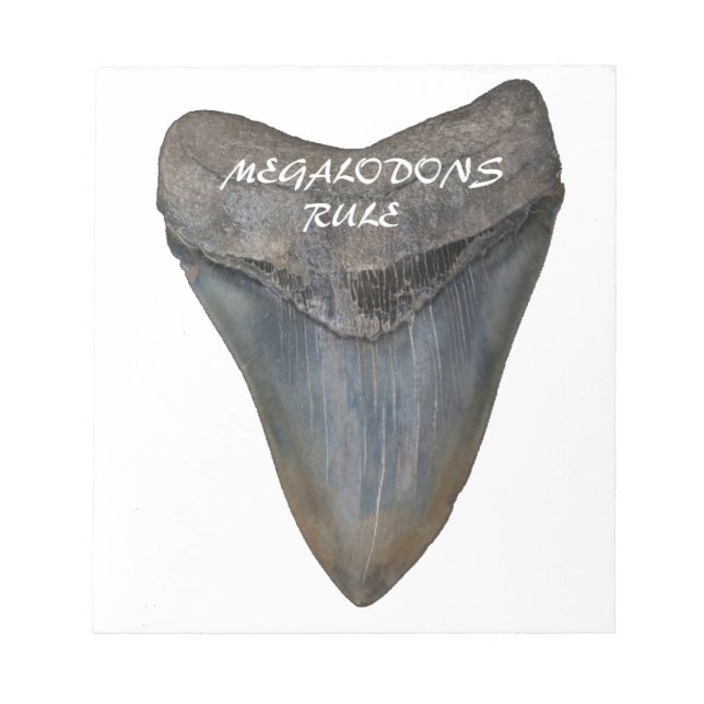 Megalodon Shark Tooth Anteckningsblock (Framsida)
