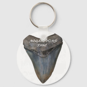 Megalodon Shark Tooth Nyckelring