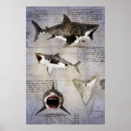 Megalodon-sketch Poster