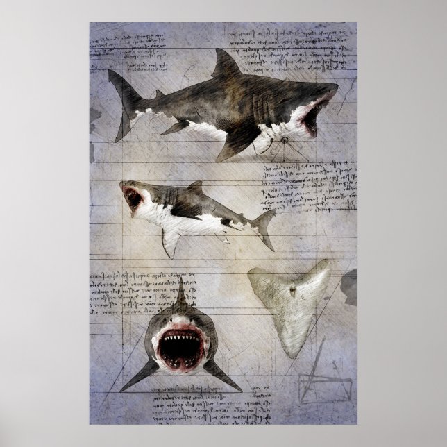 Megalodon-sketch Poster (Framsidan)
