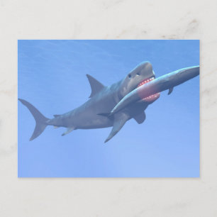 Megalodon som äter en val vykort