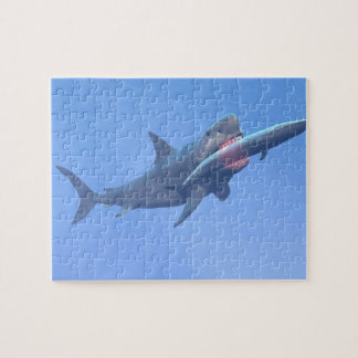 Megalodon som äter ett val pussel