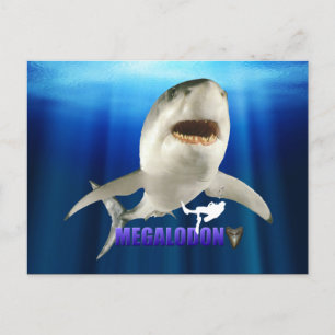 Megalodon-vykort Vykort
