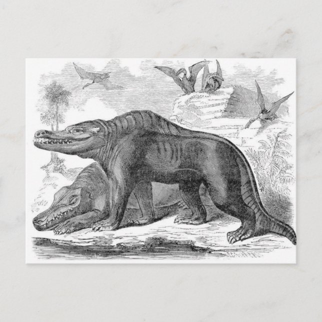 Megalosaurus Antique Skriv ut Vykort (Framsida)