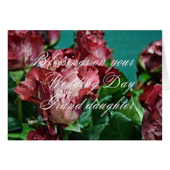 Megans grd-zz för ro WD 11 Hälsningskort (Framsidan Horizontal)