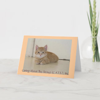 Meggie Notecards Kort