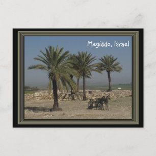 Megiddo Israel vykort