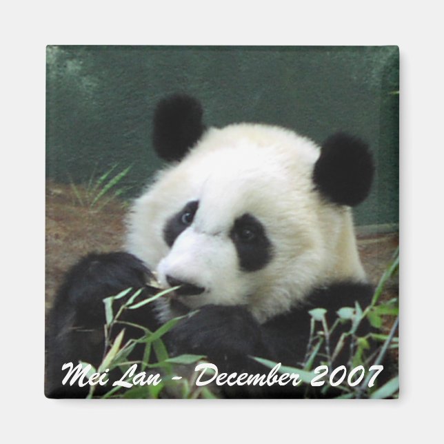 Mei Lan Magnet (Framsidan)